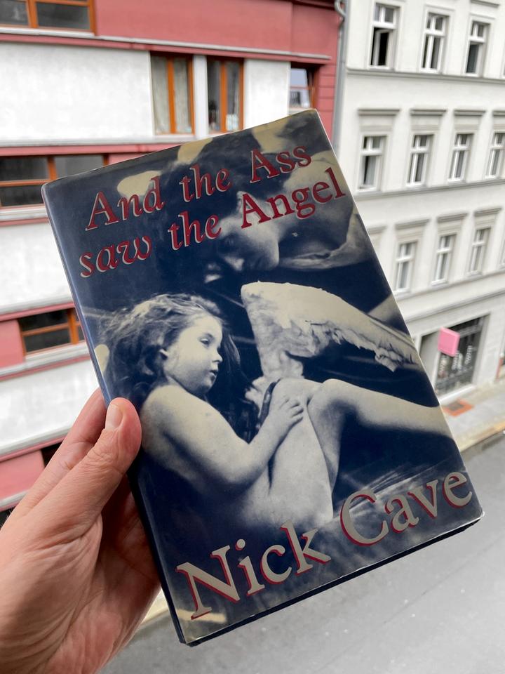 Das Cover von And The ass Saw The Angle von Nick Cave