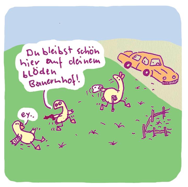 arne zank die vögel 1