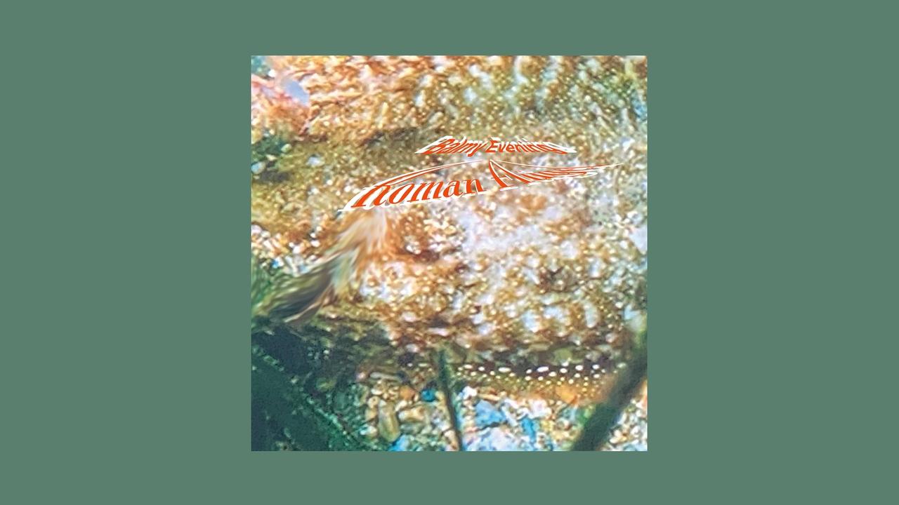 PLATTENKRITIK - ROMAN FLUEGEL - BALMY EVENINGS - BANNER