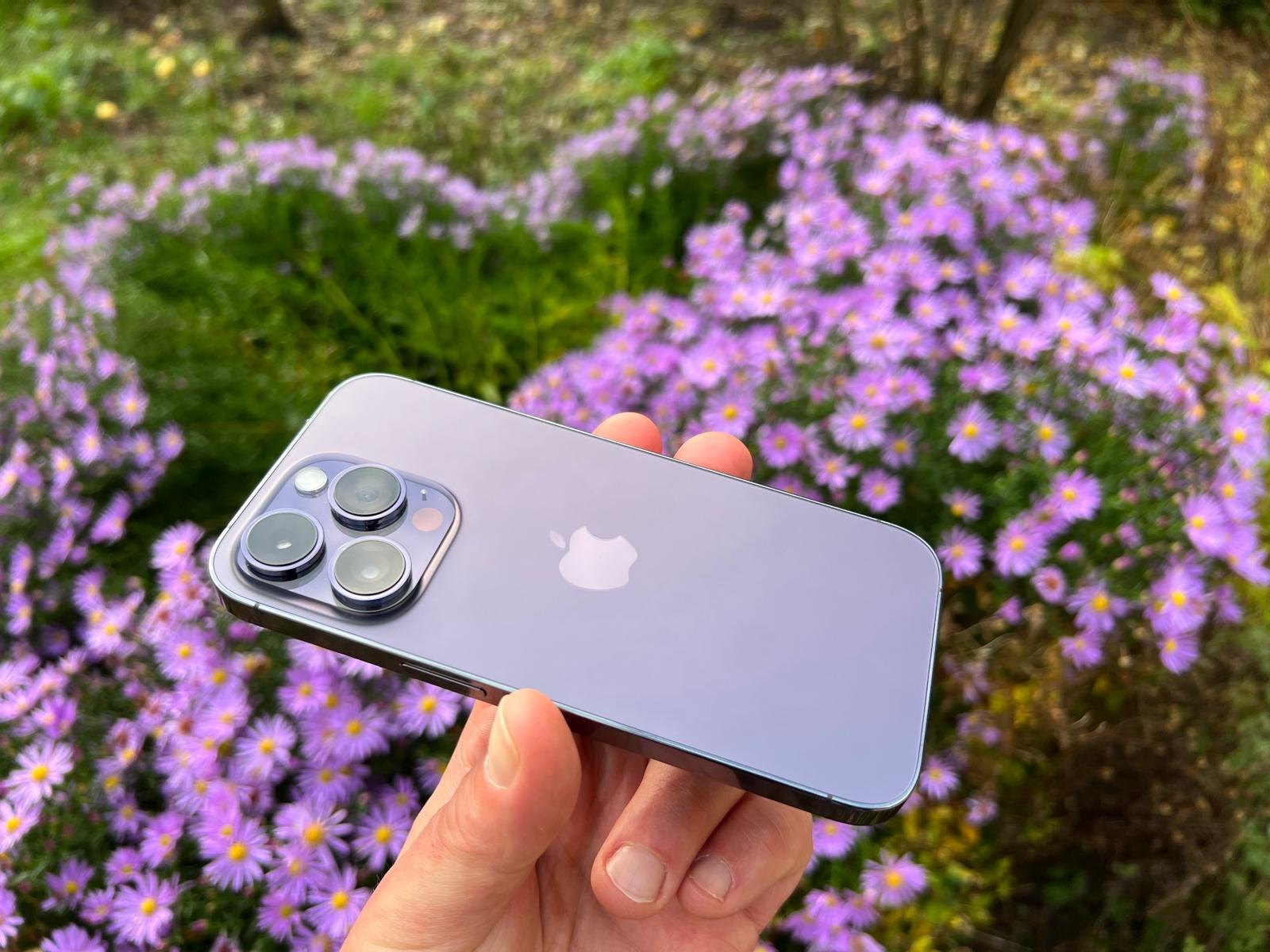 Review iPhone 14 Pro banner Lila vor Blumen full