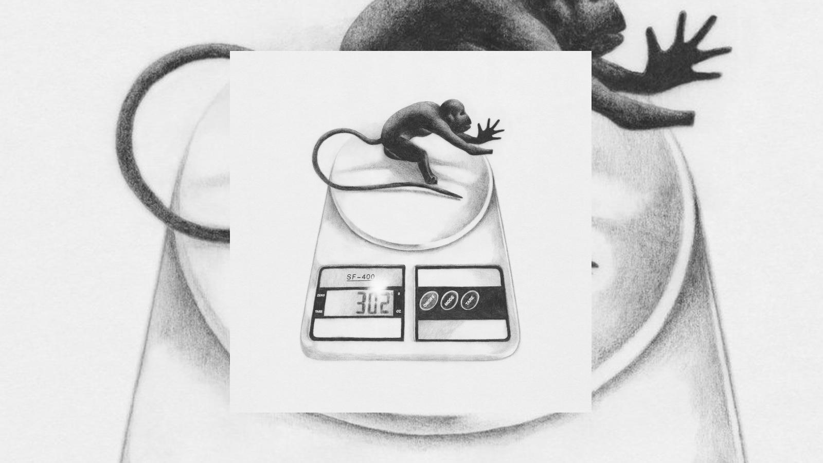 Plattenkritik Voice Actor Banner