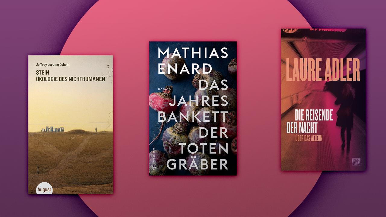 Pageturner März 2024 Banner