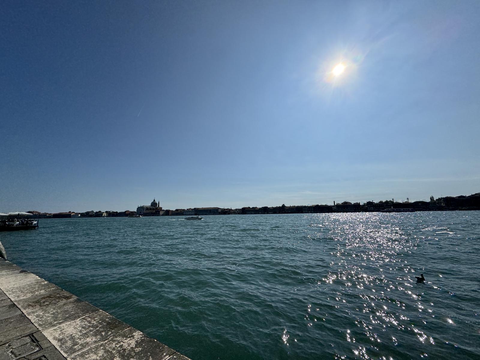 Biennale