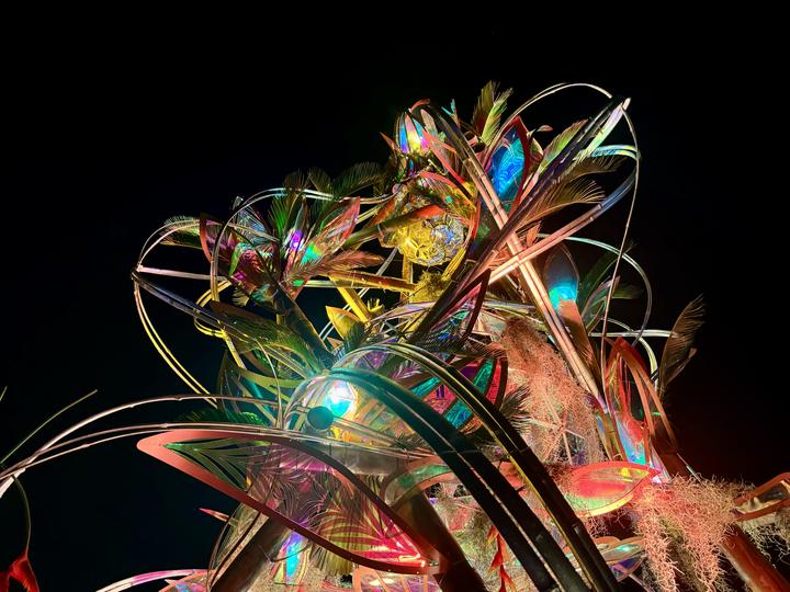 Wonderfruit Installation