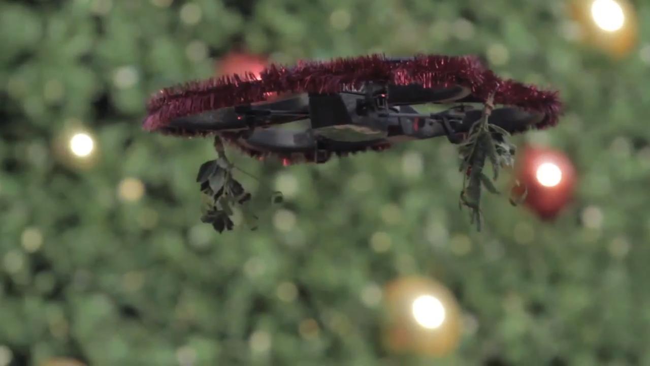 Mistletoe Drone