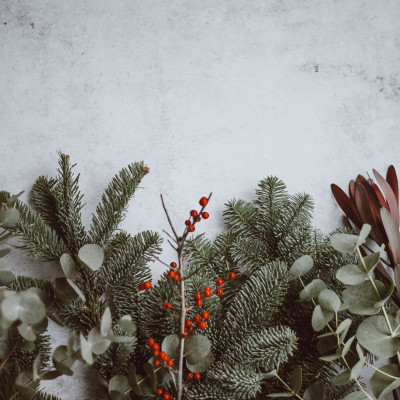 Annie spratt Q Ko op g R9 I unsplash