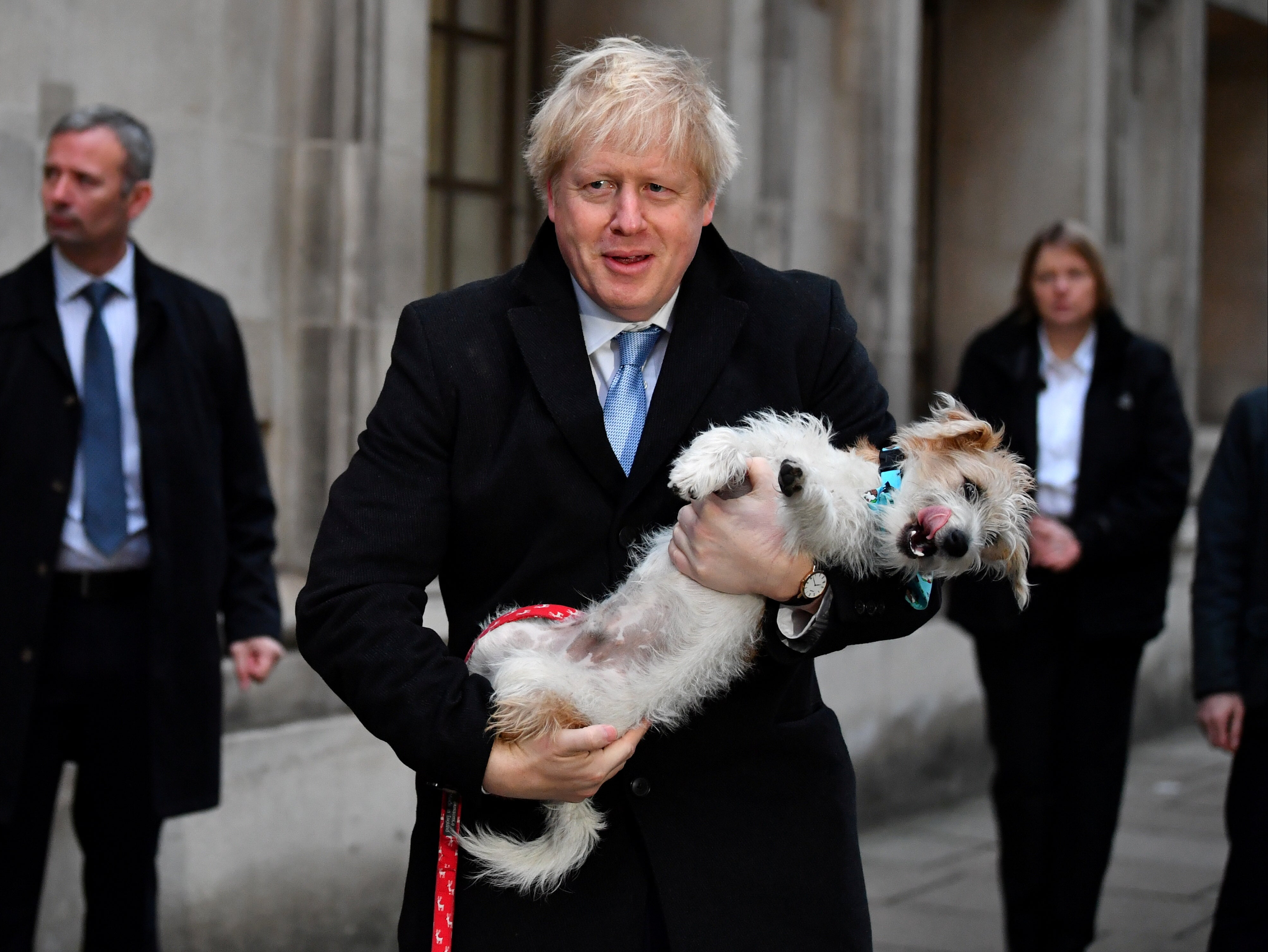 Prime minister Boris Johnson pictured with his rescue dog Dilyn in December 2019