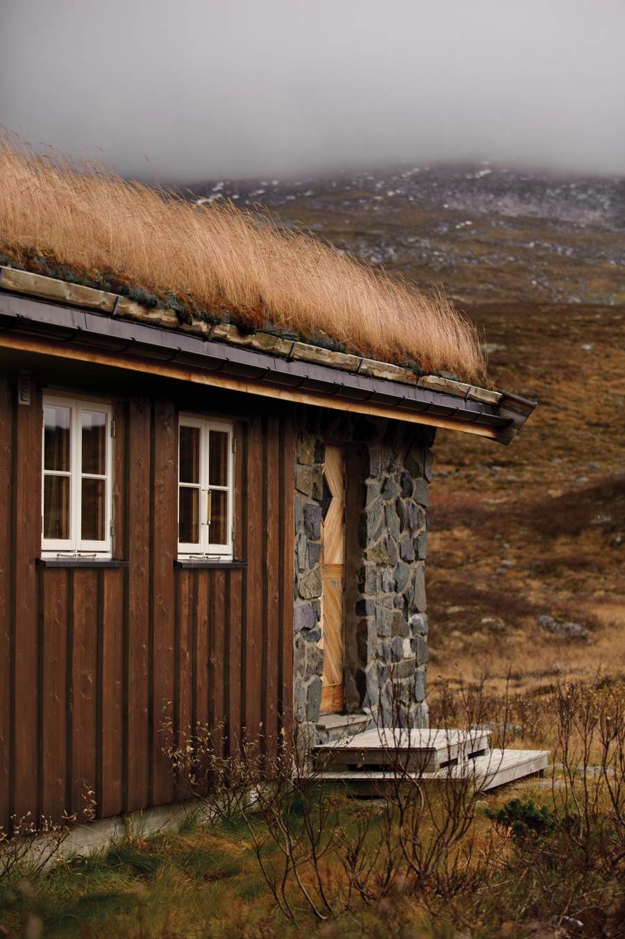 Tyrilin_Rondane