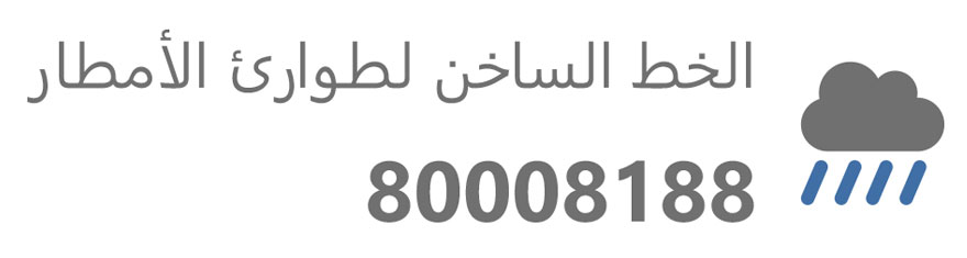 Rain 80008188