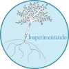 Logo de Insperimentando