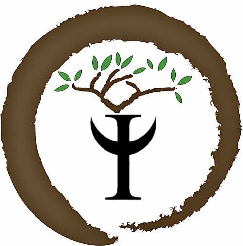 Logo de Dr. Valentine & Dr. Sánchez Psicólogos