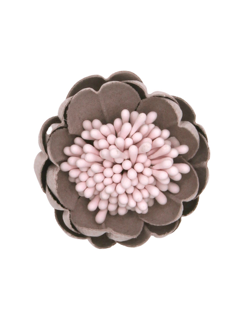 Flor cazoleta pistilos | AyB Hislabor