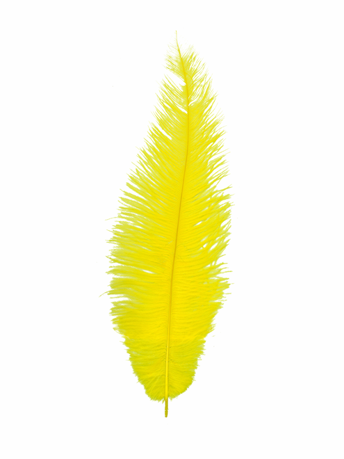 Pluma Avestruz Long chick | AyB Hislabor