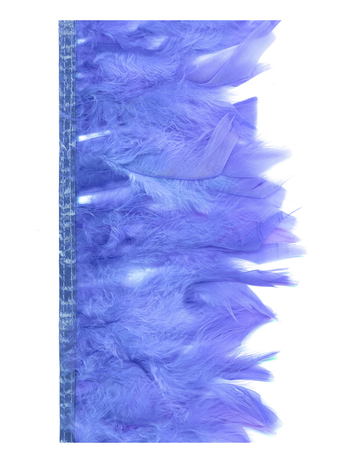 Fleco vivo boa gallo | AyB Hislabor