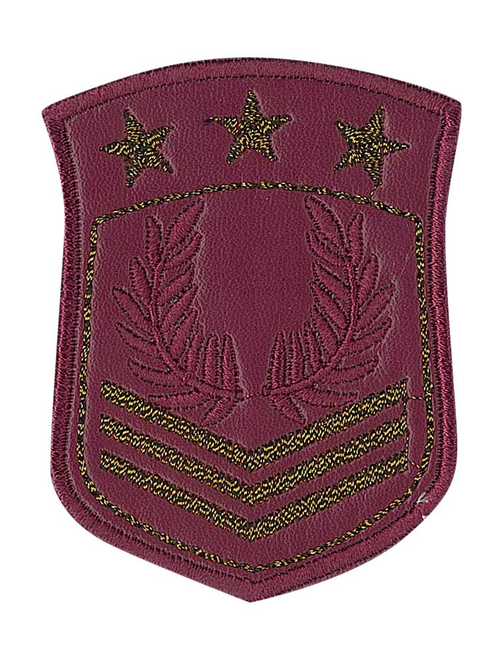 Escudo ter imipiel estrel | AyB Hislabor