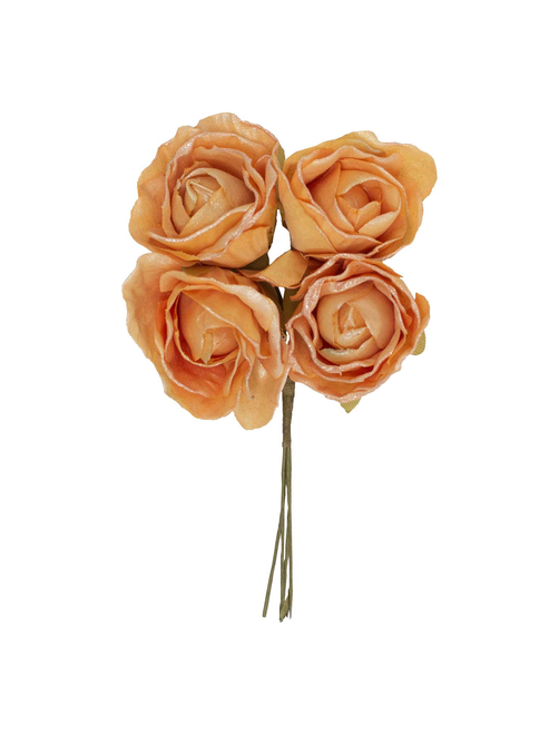 Rosa pétalos matizada | AyB Hislabor