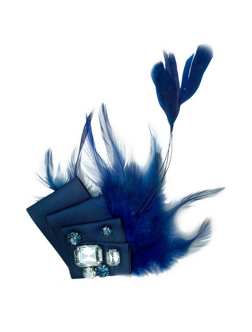 Broche plumas cristal | AyB Hislabor