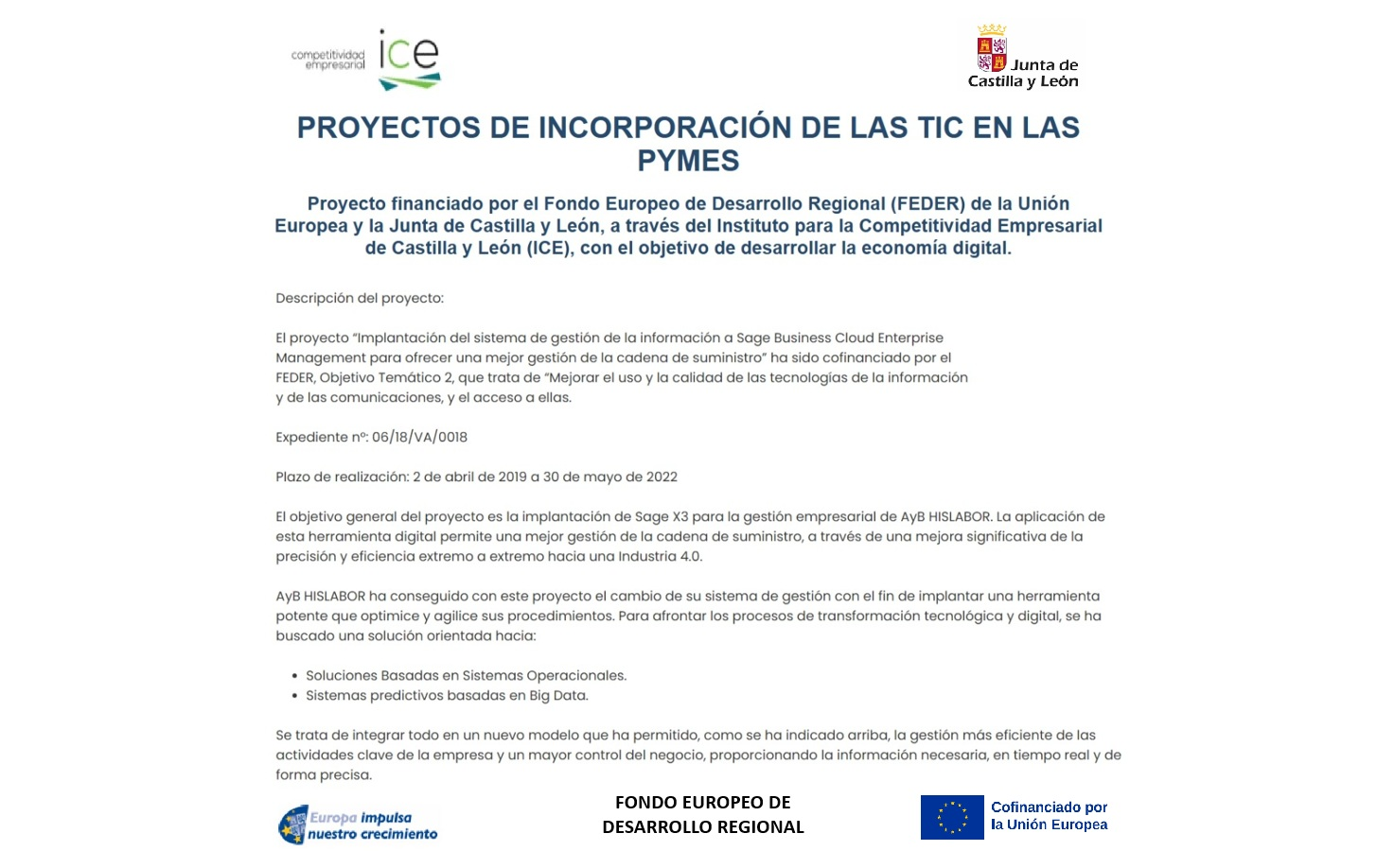 Ayudas TIC ERP 2022