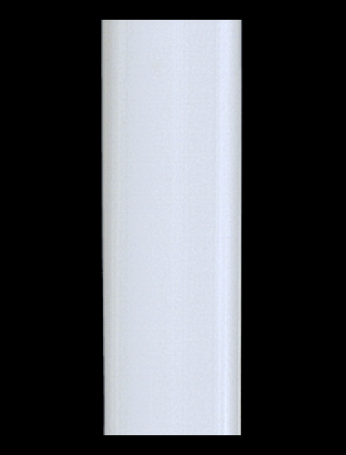 Ballena plástica PPT | AyB Hislabor