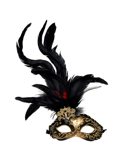 Fancy mask with feathers | AyB Hislabor