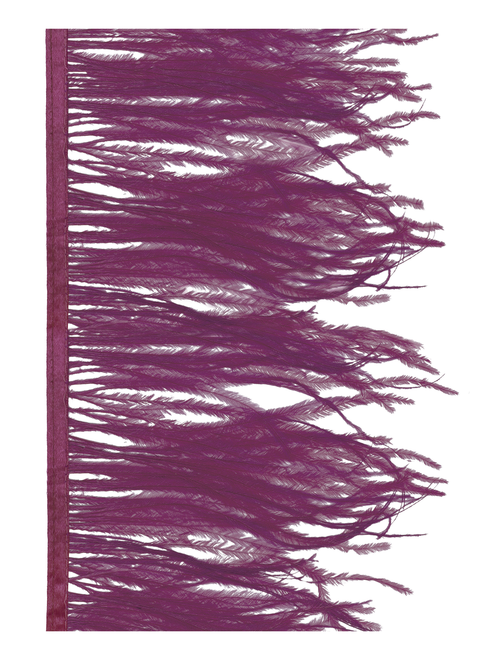 Fleco plum avestruz extra | AyB Hislabor