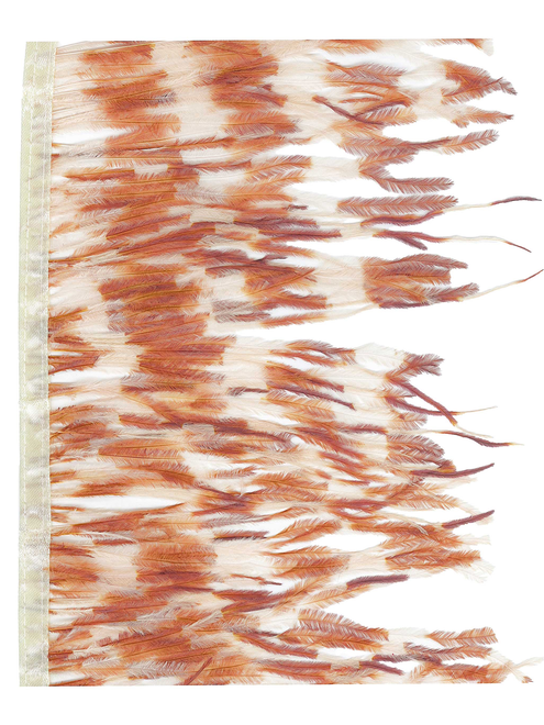 Ostrich fringe 15cm bicol | AyB Hislabor