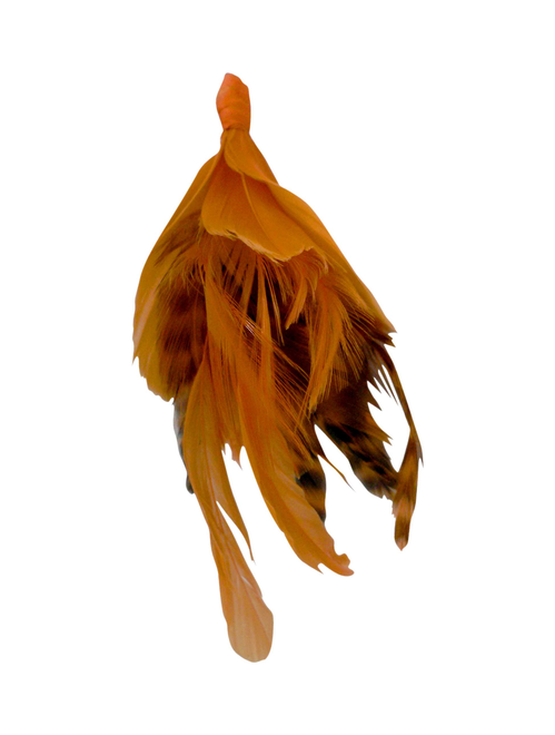 Prendido plumas | AyB Hislabor