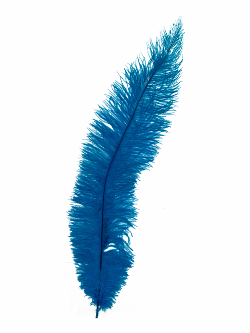 Pluma Avestruz Wing Floss | AyB Hislabor