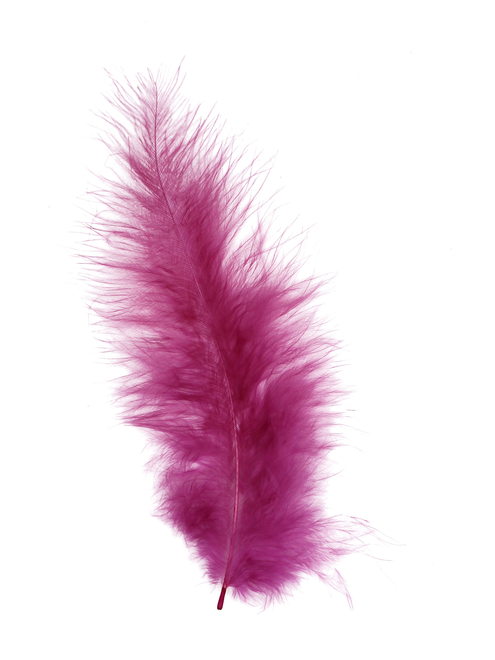 Pluma short marabú | AyB Hislabor