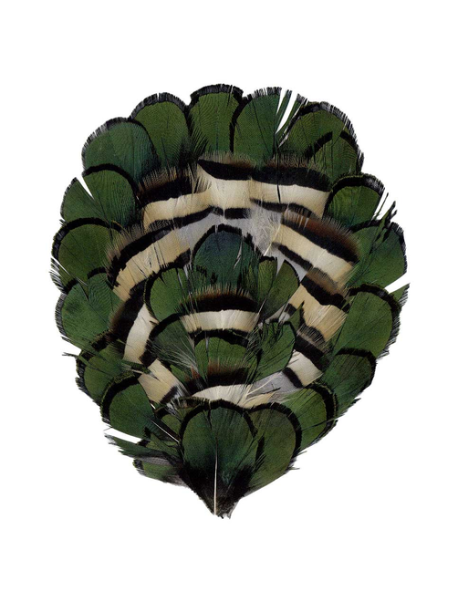 Aplicacion plumas | AyB Hislabor