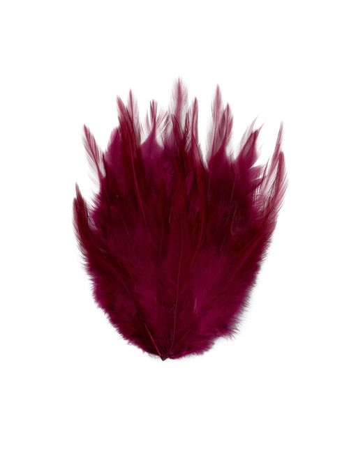 Aplique plumas con pinza | AyB Hislabor