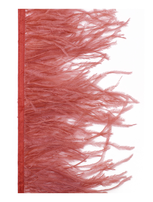 Fleco Pluma avestruz | AyB Hislabor