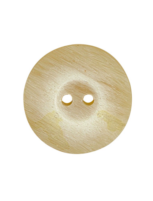 Botón poliéster 2 agujero | AyB Hislabor