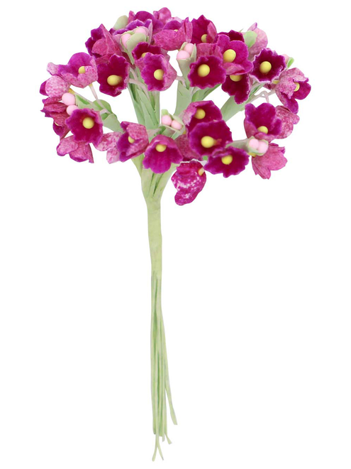 Bl 12 ramilletes 8 flores | AyB Hislabor