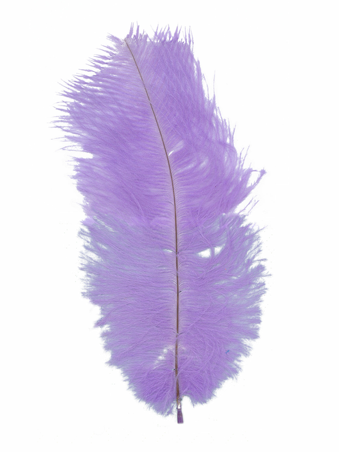 Pluma avestruz Fem Body | AyB Hislabor