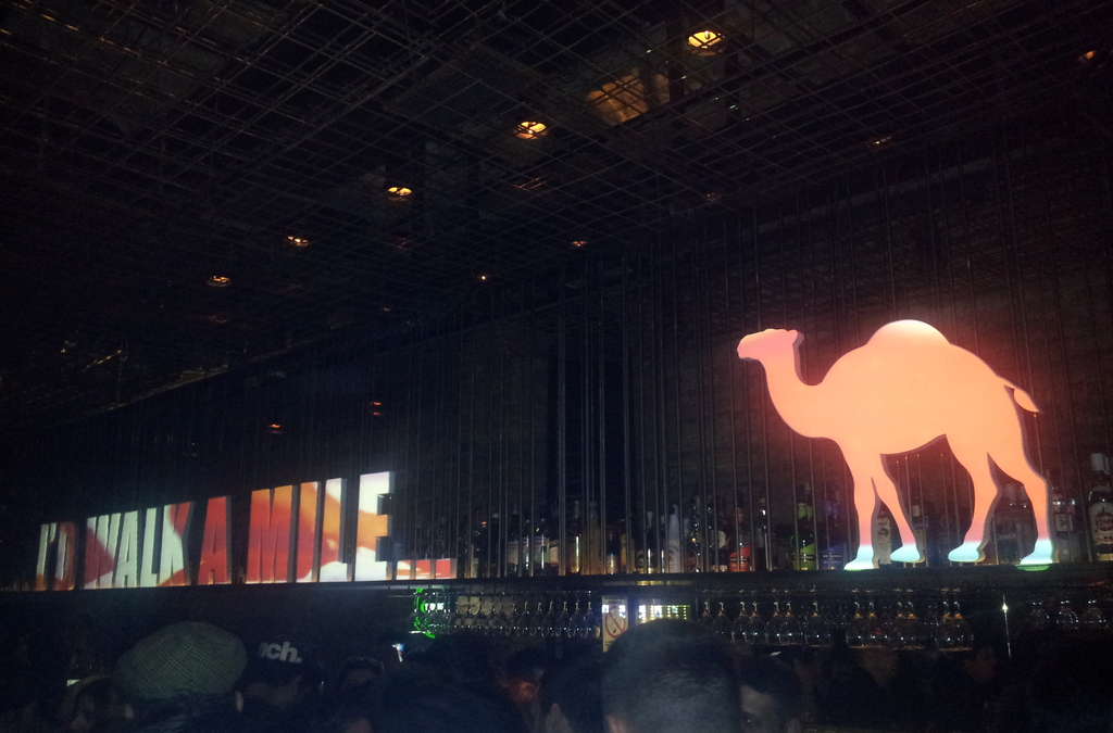 A bar scene with a large, luminous projection of a camel silhouette next to the phrase "I'D WALK A MILE," appearing as a modern, interactive branding element behind the bar.