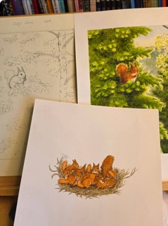 Galleri bild 1