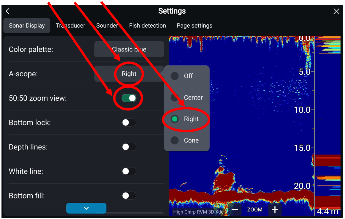 Raymarine SONAR zoomvy