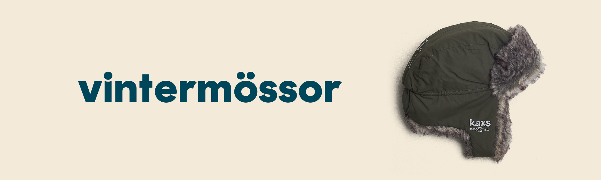 Vintermössa, Mössa, Vinter