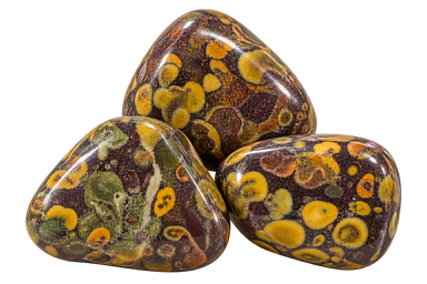 Ajooba Jaspis – Fruktjaspis