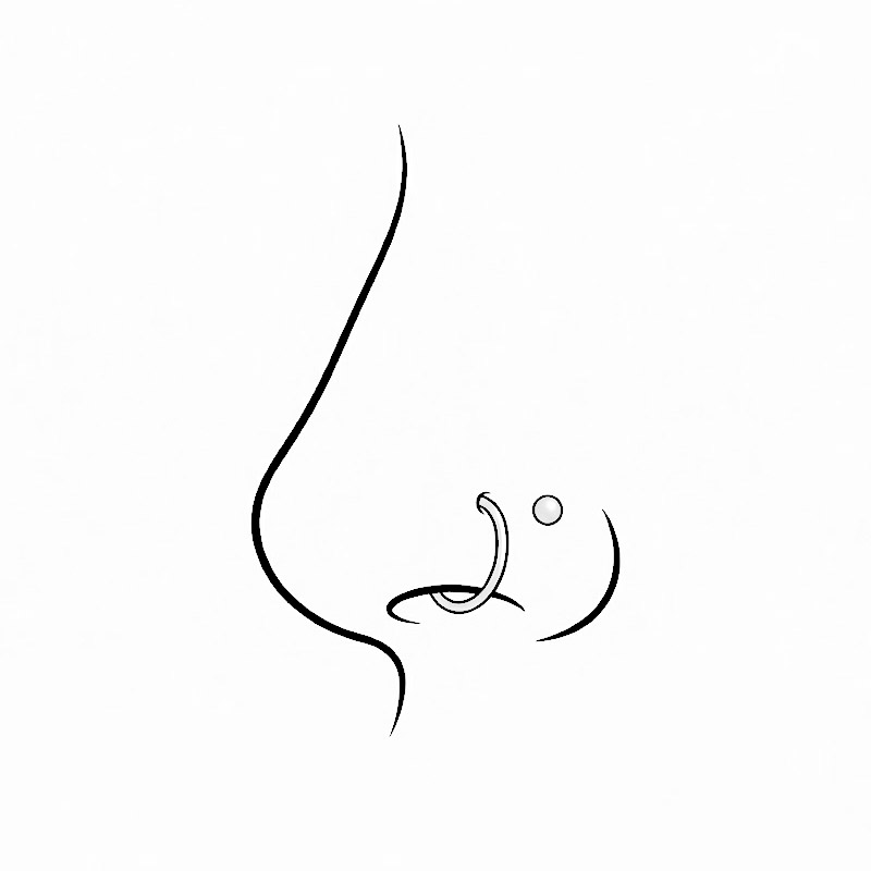 Näsvinge Piercing
