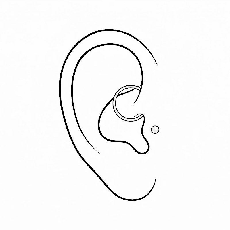 Tragus, Daith och Rook