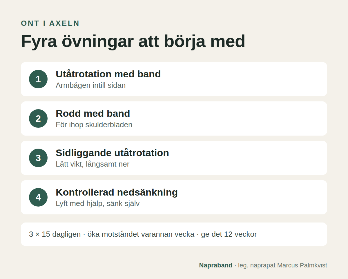 Fyra övningar vid ont i axeln: utåtrotation med band, rodd med band, sidliggande utåtrotation och kontrollerad nedsänkning