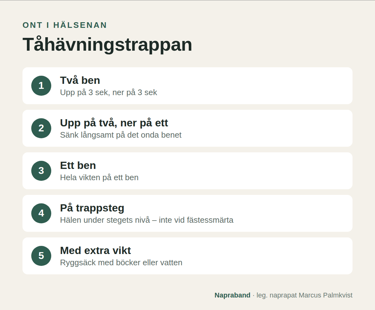 Tåhävningstrappan: från tåhävning på två ben till ett ben, till trappsteg och sist med extra vikt