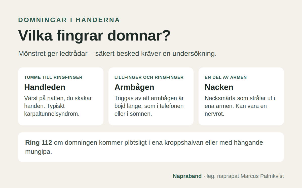 Vilka fingrar domnar? Tumme till ringfinger och på natten talar för karpaltunnelsyndrom, lillfingret för armbågsnerven och domning med nacksmärta ut i armen för en nervrot i nacken