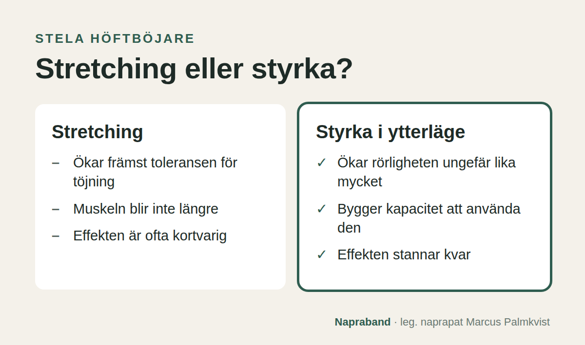 Stretching ökar främst töjningstoleransen, styrka i ytterläge ökar rörligheten och bygger kapacitet