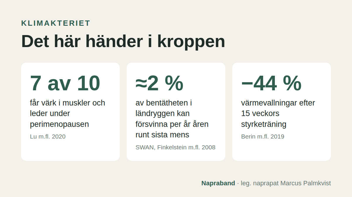 Klimakteriet i siffror: 7 av 10 får värk i muskler och leder, cirka 2 procent bentäthet per år kan försvinna, styrketräning minskade värmevallningar med 44 procent