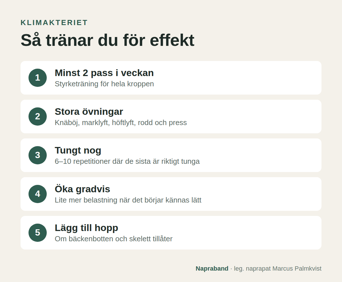 Så tränar du i klimakteriet: minst två pass i veckan, stora övningar, tungt nog, öka gradvis och lägg till hopp
