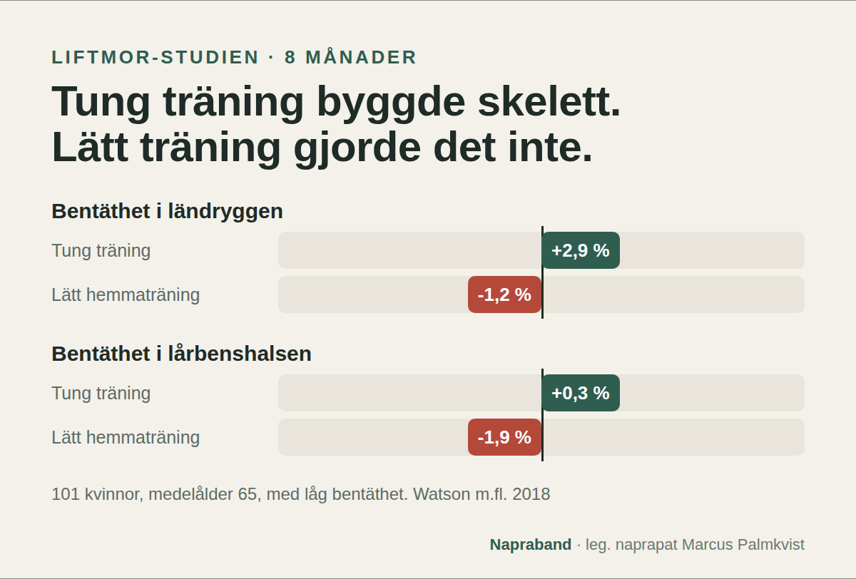 LIFTMOR-studien: tung styrketräning ökade bentätheten i ländrygg och lårbenshals medan lätt hemmaträning gav fortsatt förlust