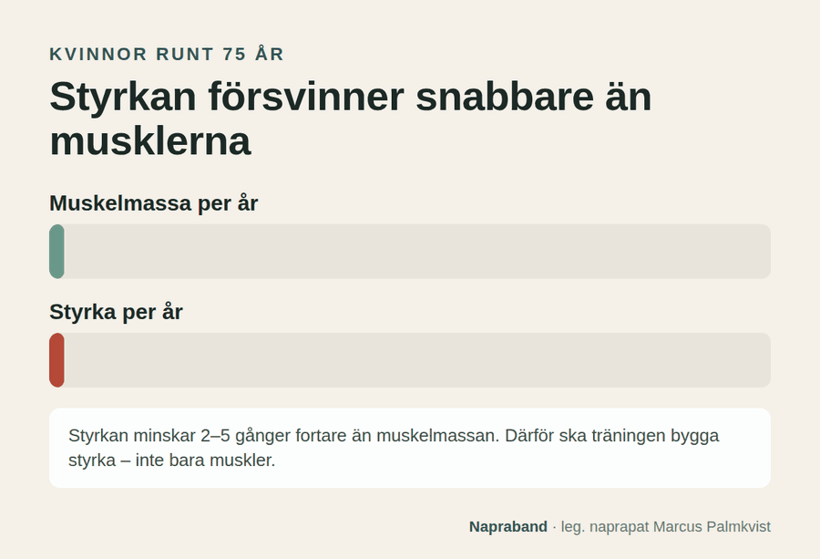 Med åldern minskar styrkan två till fem gånger snabbare än muskelmassan. Vid 75 års ålder tappar kvinnor ungefär 0,7 procent muskelmassa men 2,5 till 3 procent styrka per år